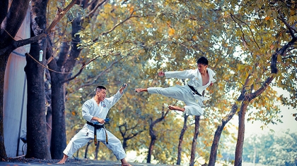 Top 11 Martial Arts From Around the World