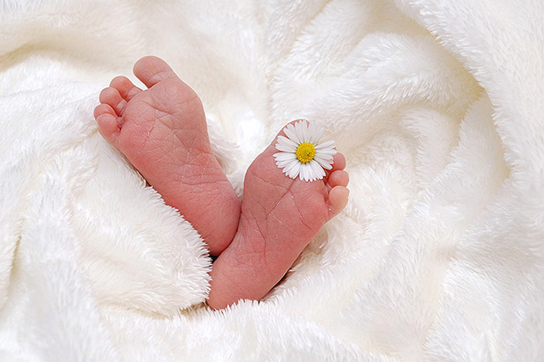 Fertility