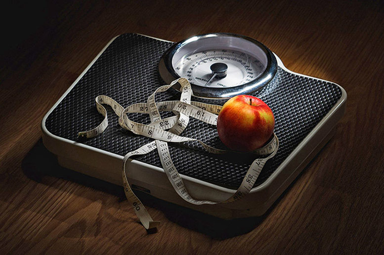 Fat Elimination