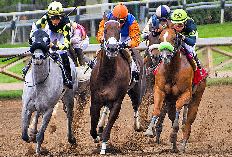Horse Racing