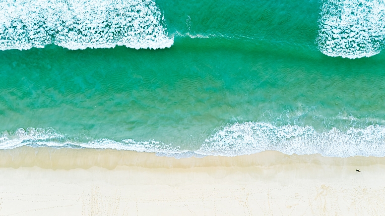 comporta