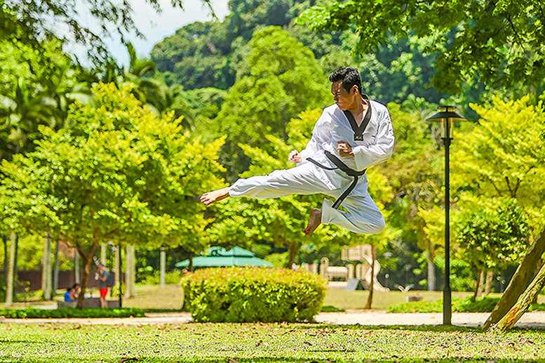 Martial Arts