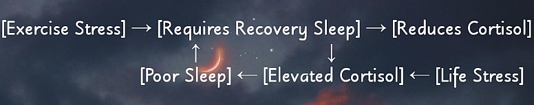 the sleep stress performance triangle