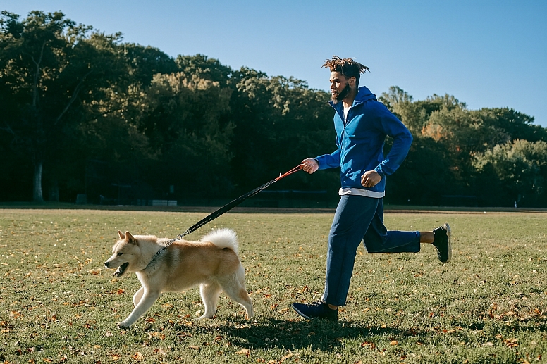 Cats Dogs Improve Your Health And Happiness