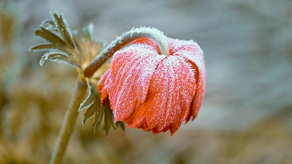 5 Tips to Beat the Winter Blues
