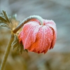 5 Tips to Beat the Winter Blues