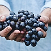 Top 6 Health Food Stores in London